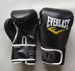 Original Everlast Boxing Gloves