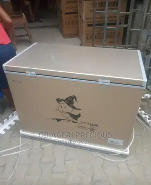 Snow Sea Deep Freezer