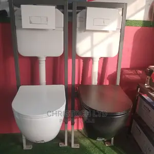 Wall Hung Water Closet-To