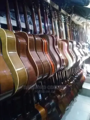 Professional Acoustic and Electric Acoustic Guitars