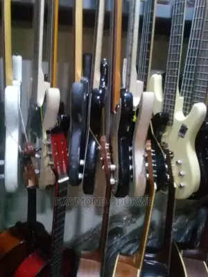 Acoustic and Electric Bass Guitars