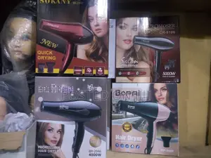 Electric Saloon Hair Dryer