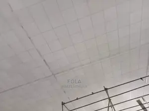 Suspended Ceiling Tiles