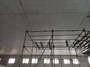Suspended Ceiling Tiles