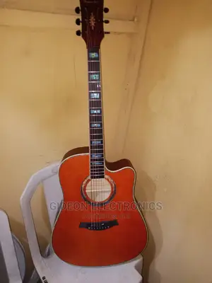 Thunder Acoustic Guitar.