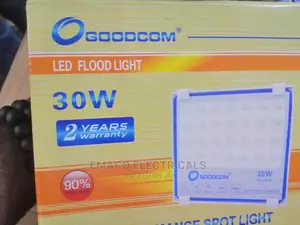 30W LED Flood Light
