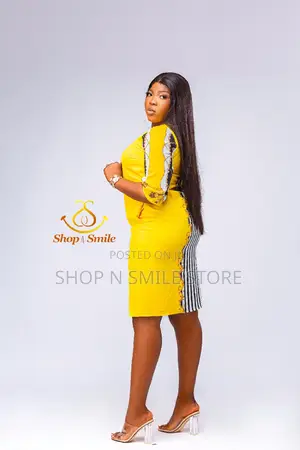 Ladies Two Tone Partern Dress