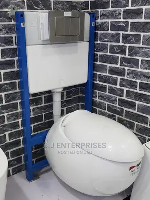 Oval Shape Conceal Water Closet.