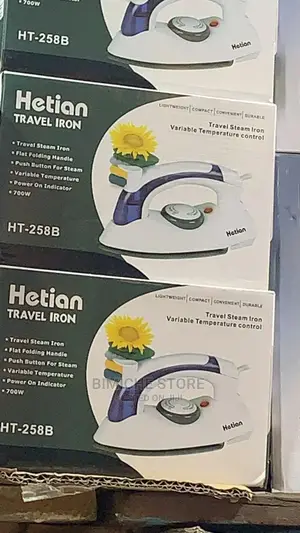 Travel Steam Iron