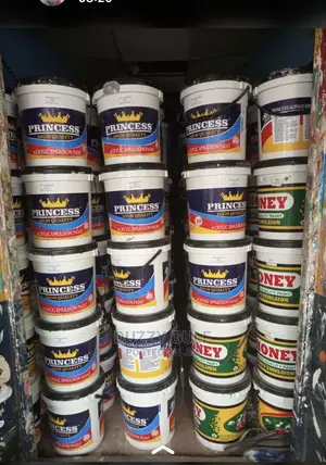 Princess Paint