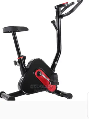 Good Quality Magnetic Bike