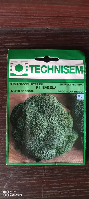 Technisem Hybrid Broccoli Seeds 5g