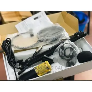 Professional Studio Microphone With Stand and Filter