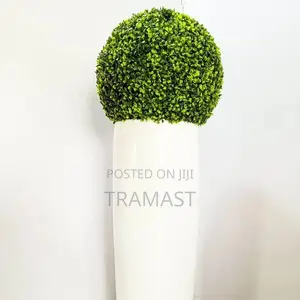 Plamond Vase With Box Wood Ball