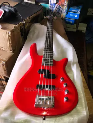 5 String Bass Guitar With Stand Bag Belt