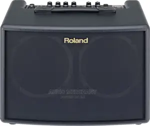 Roland AC-60 Acoustic Chorus Guitar Amplifier 30 Watts