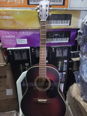 Professional Sexter Electric Acoustic Guitar