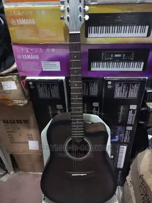 Professional Andrew Brand Acoustic Electric Guitar