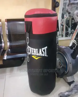 Punching Bag Original One