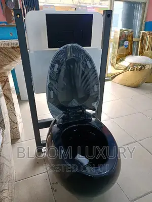 Matte Black Conceal Toilet
