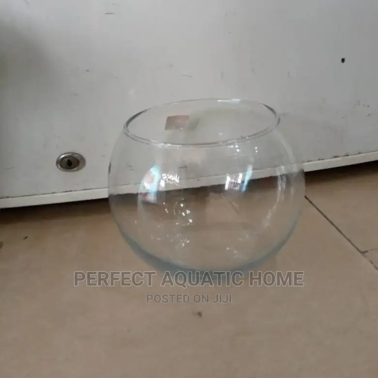 Clear Fish Bowl