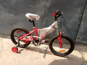 Avigo Suspension Children Bicycle
