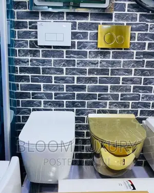 White and Gold Concealed Toilet
