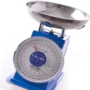20kg Camry Spring Dial Scale
