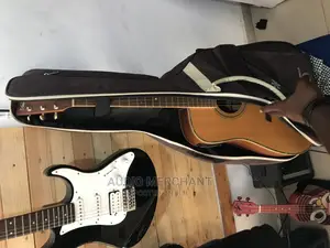 Padded Acoustic Guitar Bag