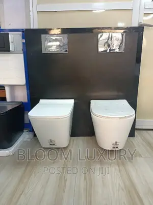 Concealed Water Closet