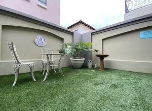 Turkish Synthetic Grass (FREE DELIVERY)