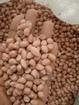 Groundnut in Bags