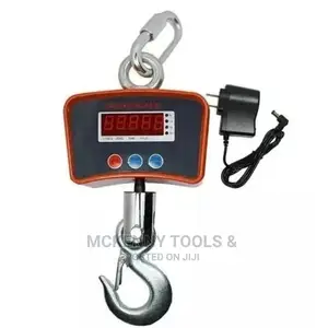 Crane Digital Hanging Scale-300kg