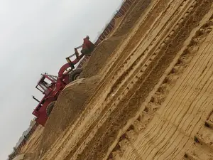 Filling of Site, Cleaning and Equipment Maintenance