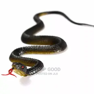 Rubber Snack