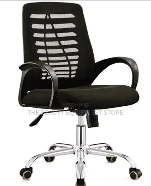 Salon/Office Chair