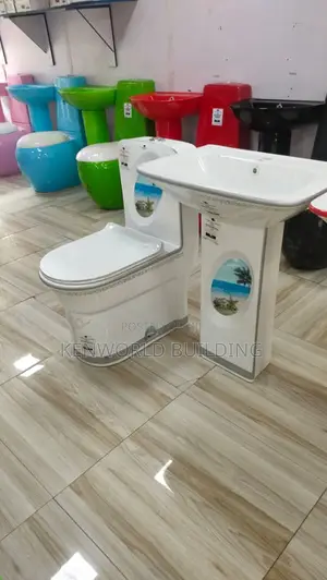 Modern Executive Wc and Wash Hand Basin