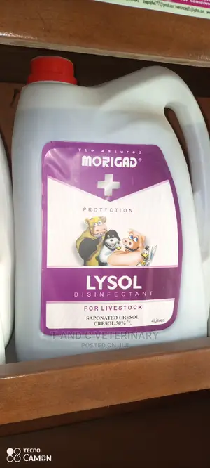 Morigad Protection Lysol Disinfectant