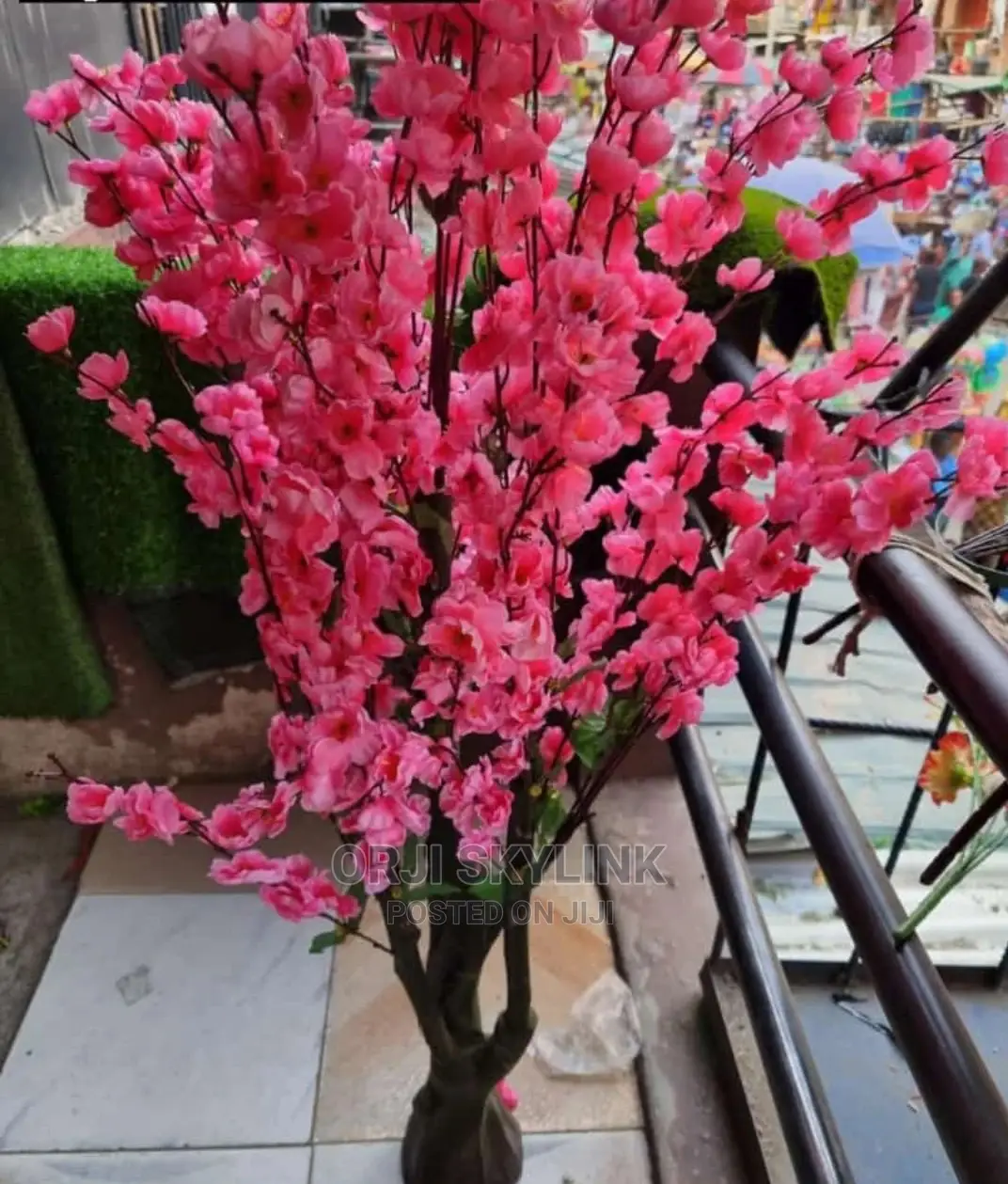 Cherry Blossom