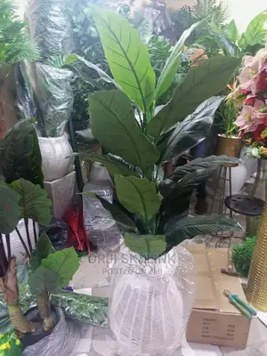 Home Decorative Flower Plant