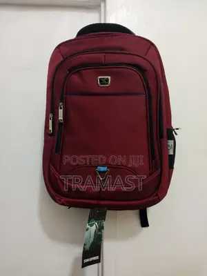 Classy Backbag