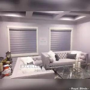 Silver Color Day and Night Blinds.