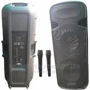 Full Range Rechargeable Pa With Dual Wireless Microphone