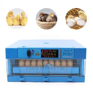 Dual Powered Incubator for 64 Eggs