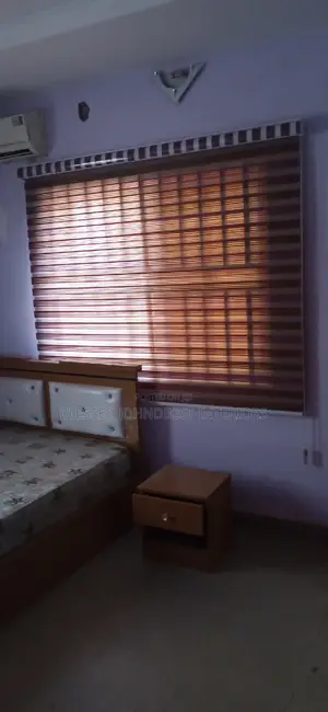 Day and Night Window Blinds