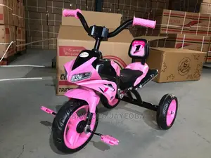 Evergreen Flash Kids Tricycle Pink