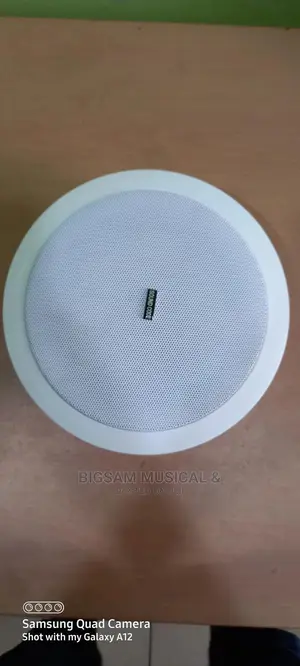30watts Super Ceiling Speaker