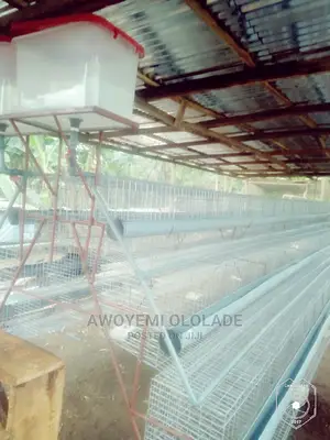 Battery Cage for Layers