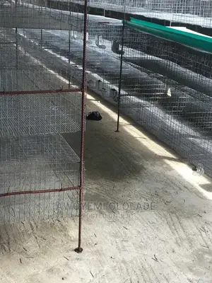 Rabbit Cage