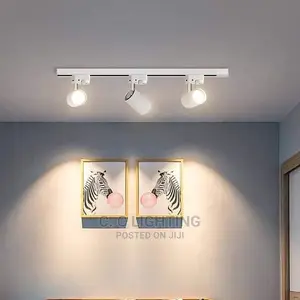 Track Light